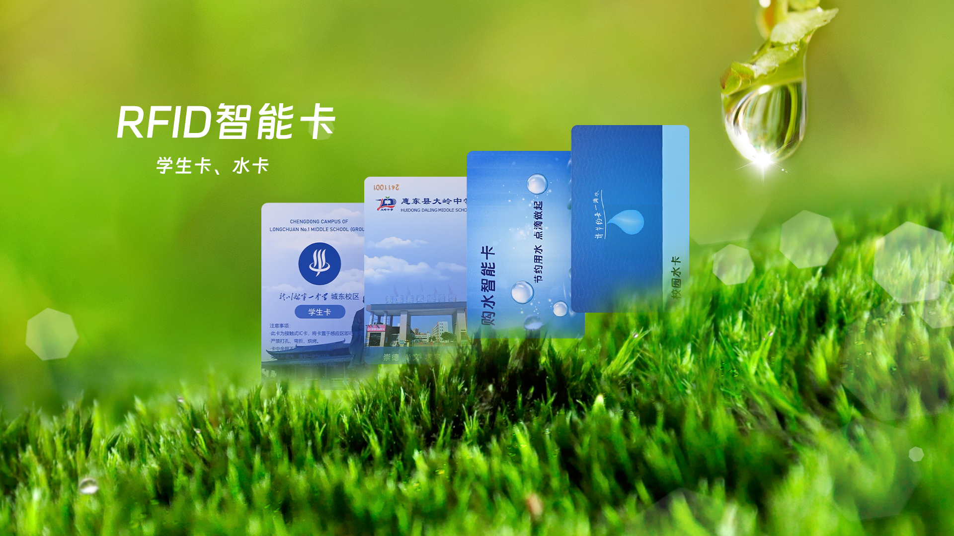 微信图片_20250319112821 微信图片_20250319112821