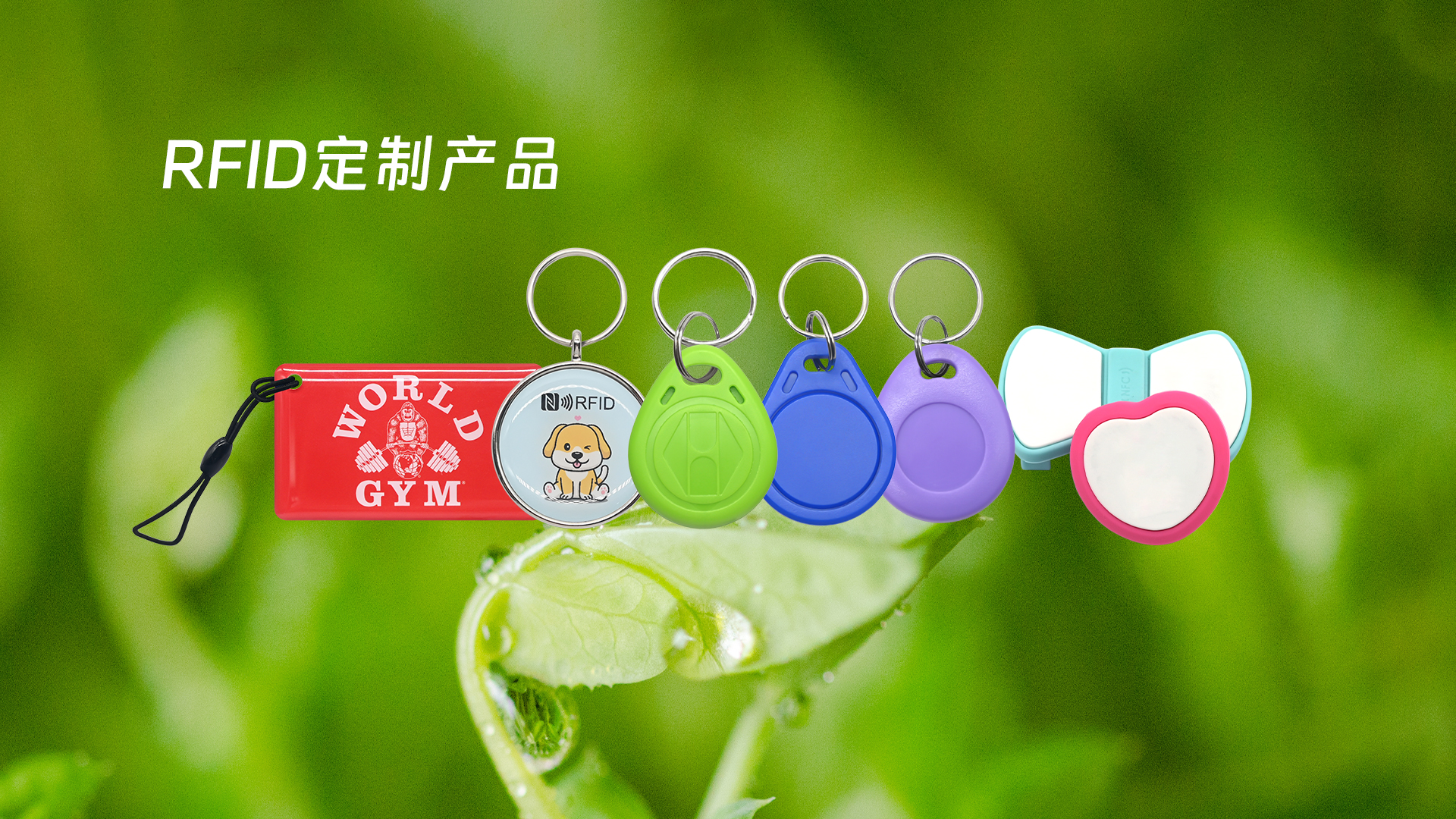 微信图片_20250319113407 微信图片_20250319113407