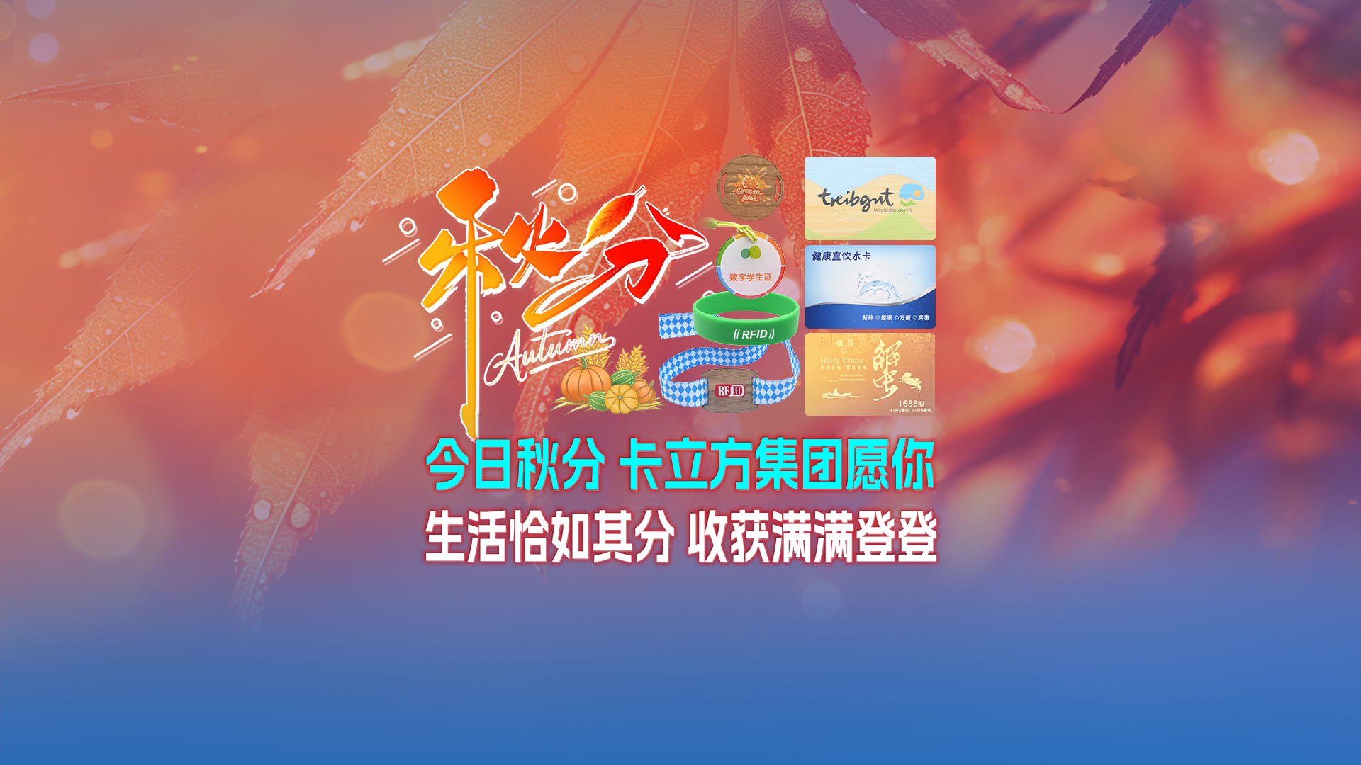 秋分至，卡立方集团智能卡工厂以RFID多元化物联网产品科技赋能万物互联