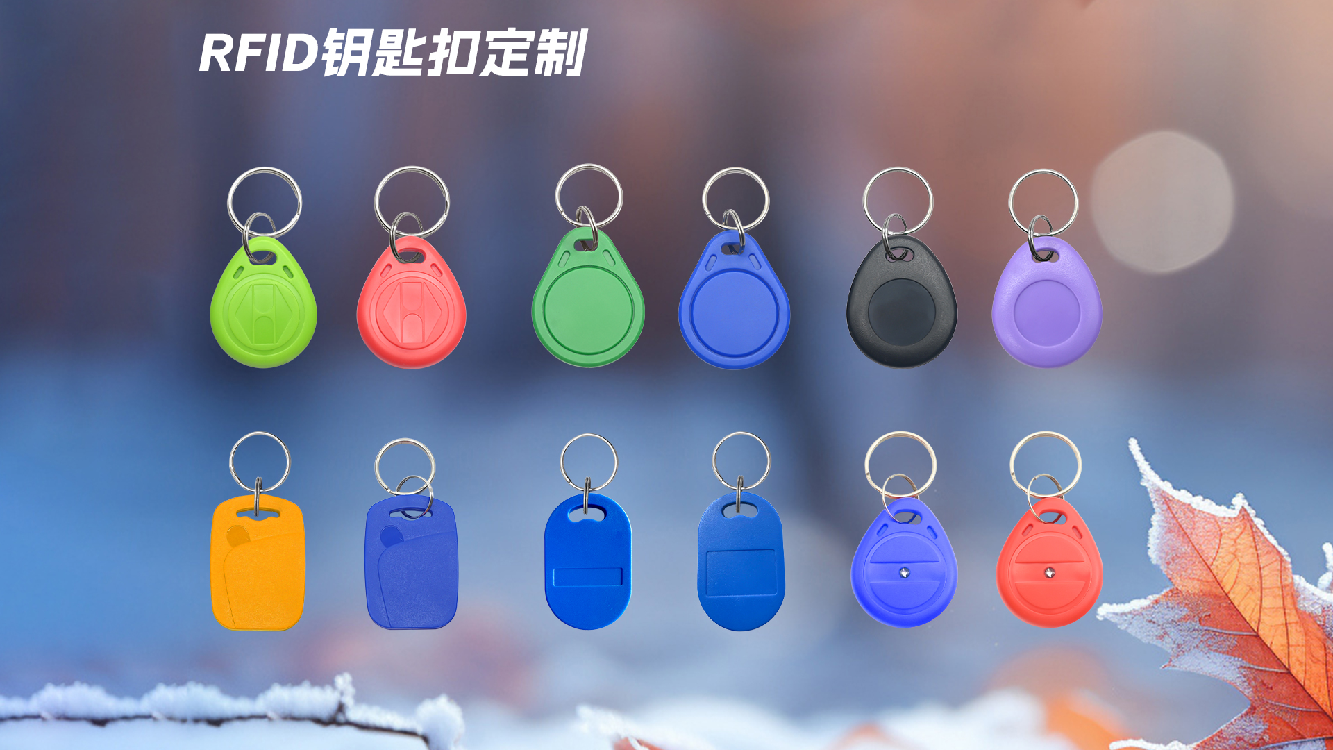 微信图片_20251021151059_624_127 微信图片_20251021151059_624_127