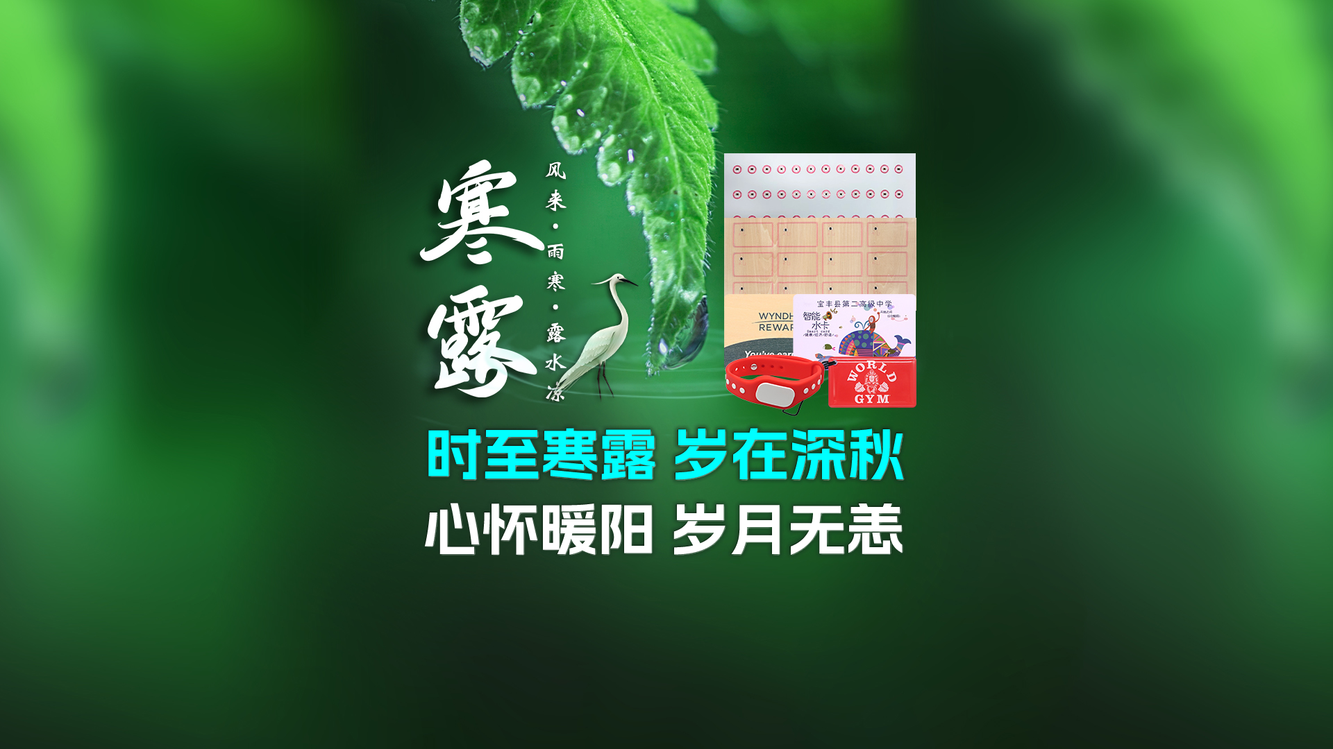 寒露至秋意浓，卡立方集团携RFID智能卡中料木卡腕带伴您暖度深秋